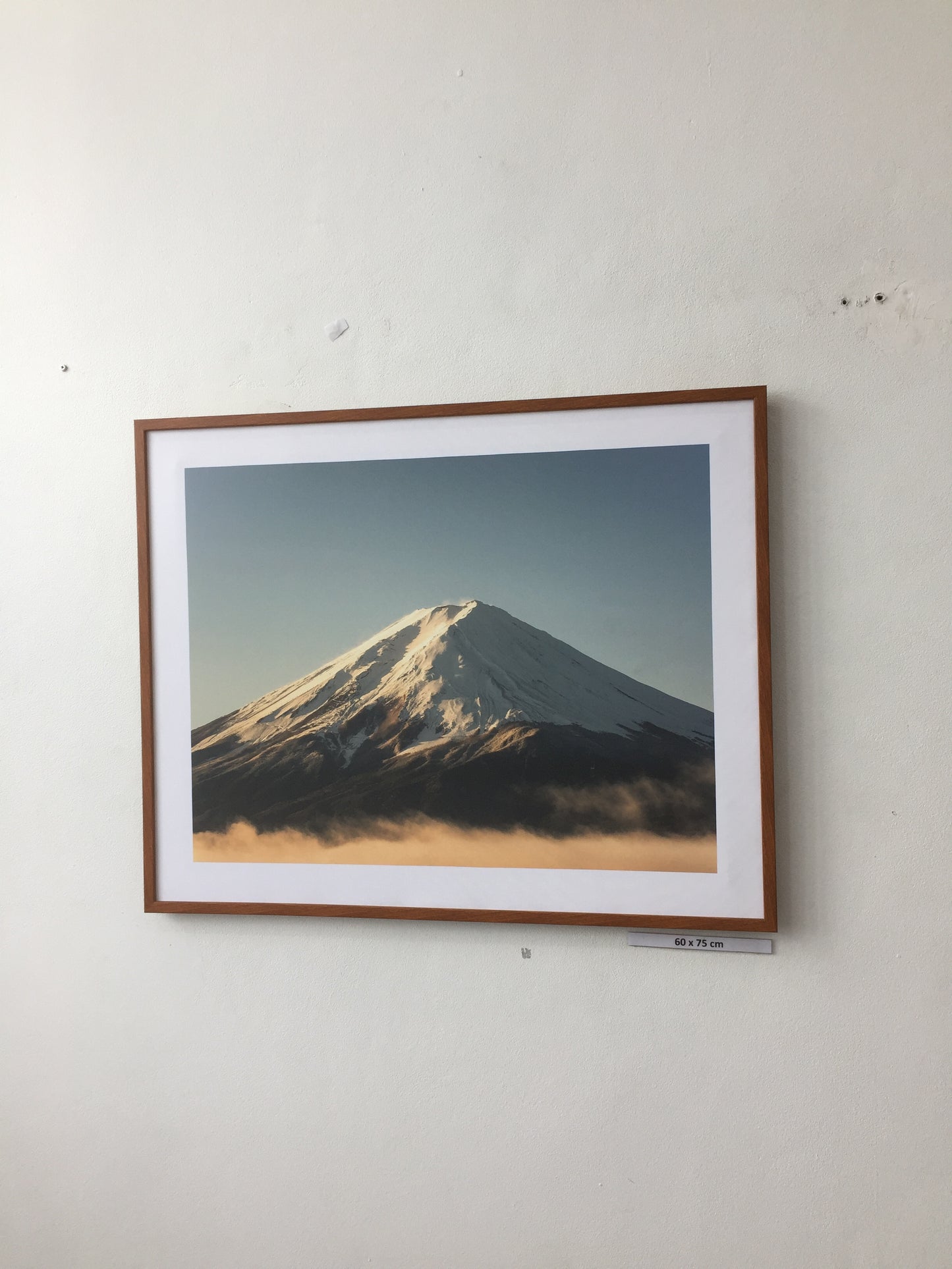 Fuji Mountain