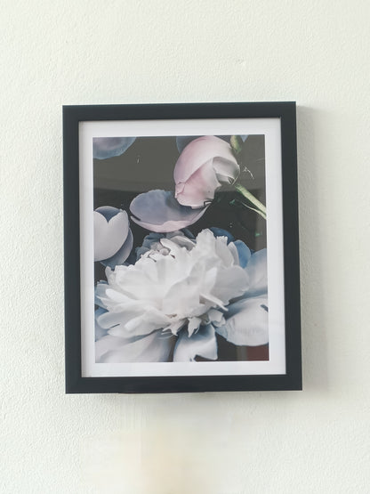 Peony Flowers