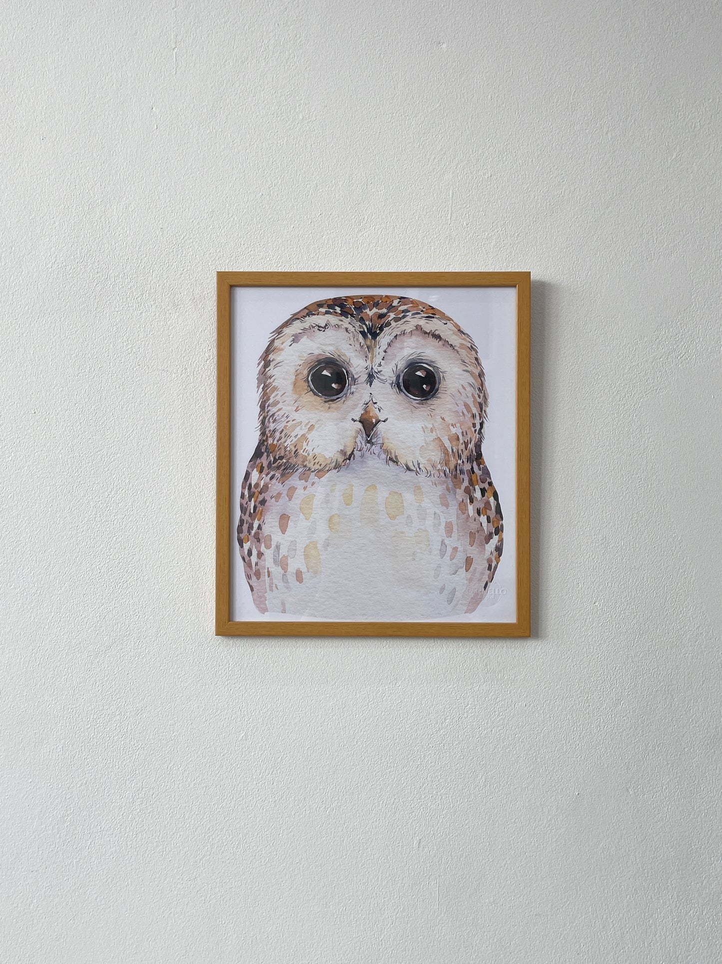 Cute baby owl (Canvas)