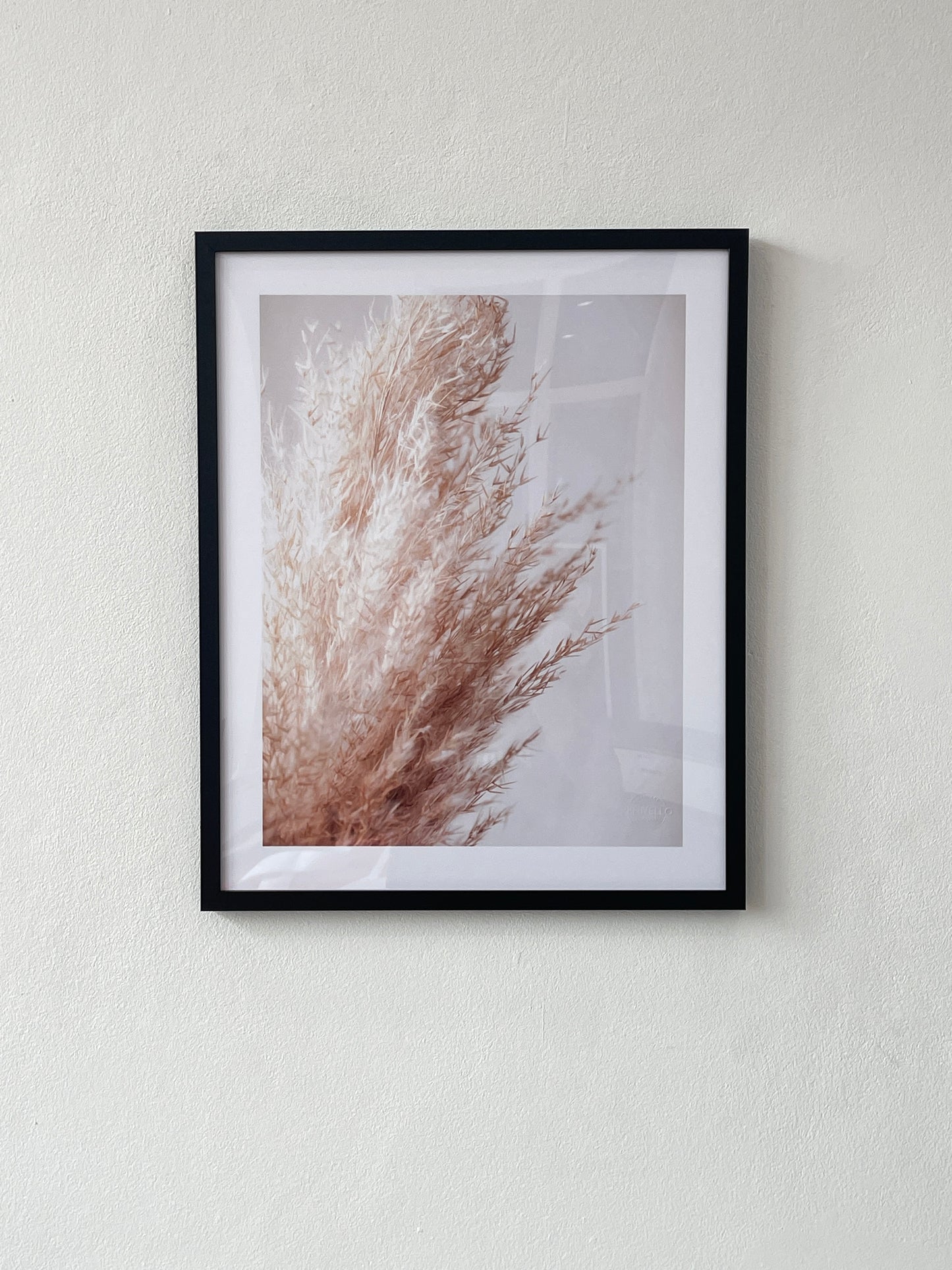 Pampas grass