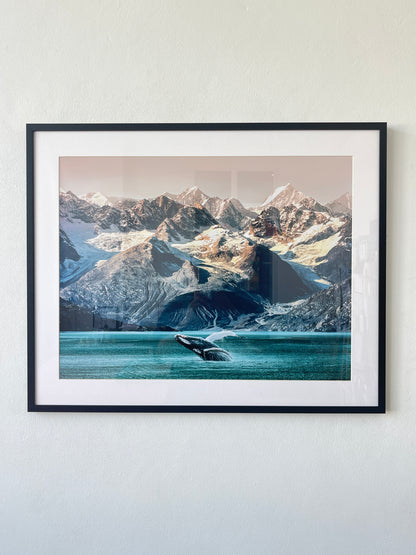 Alaska whale