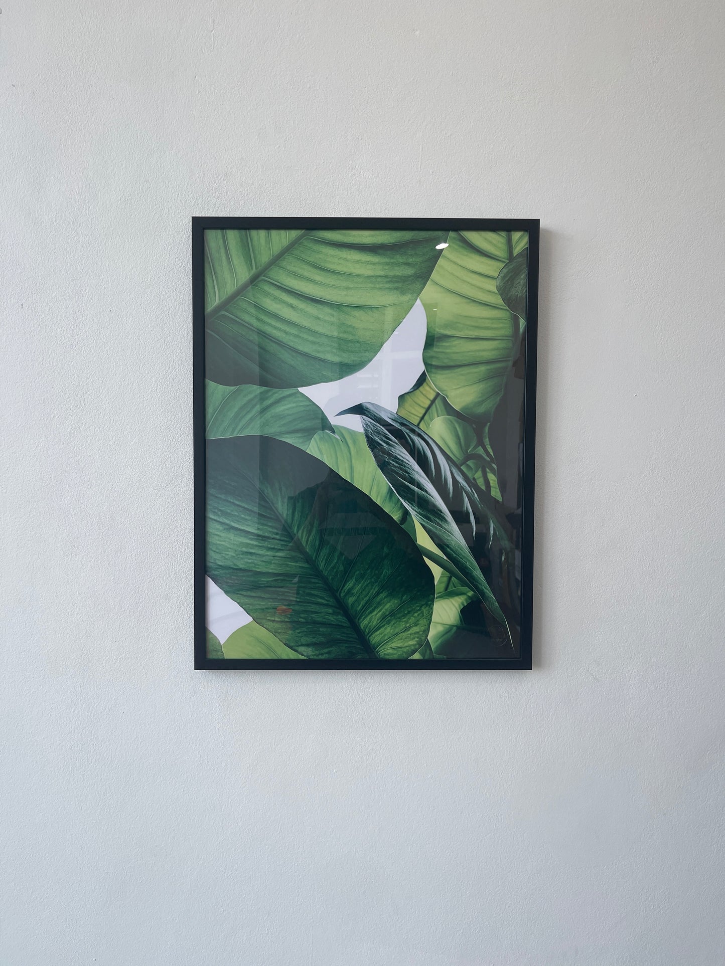 Tropical green leaves Set