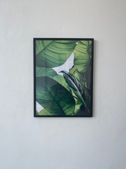 Tropical green leaves Set