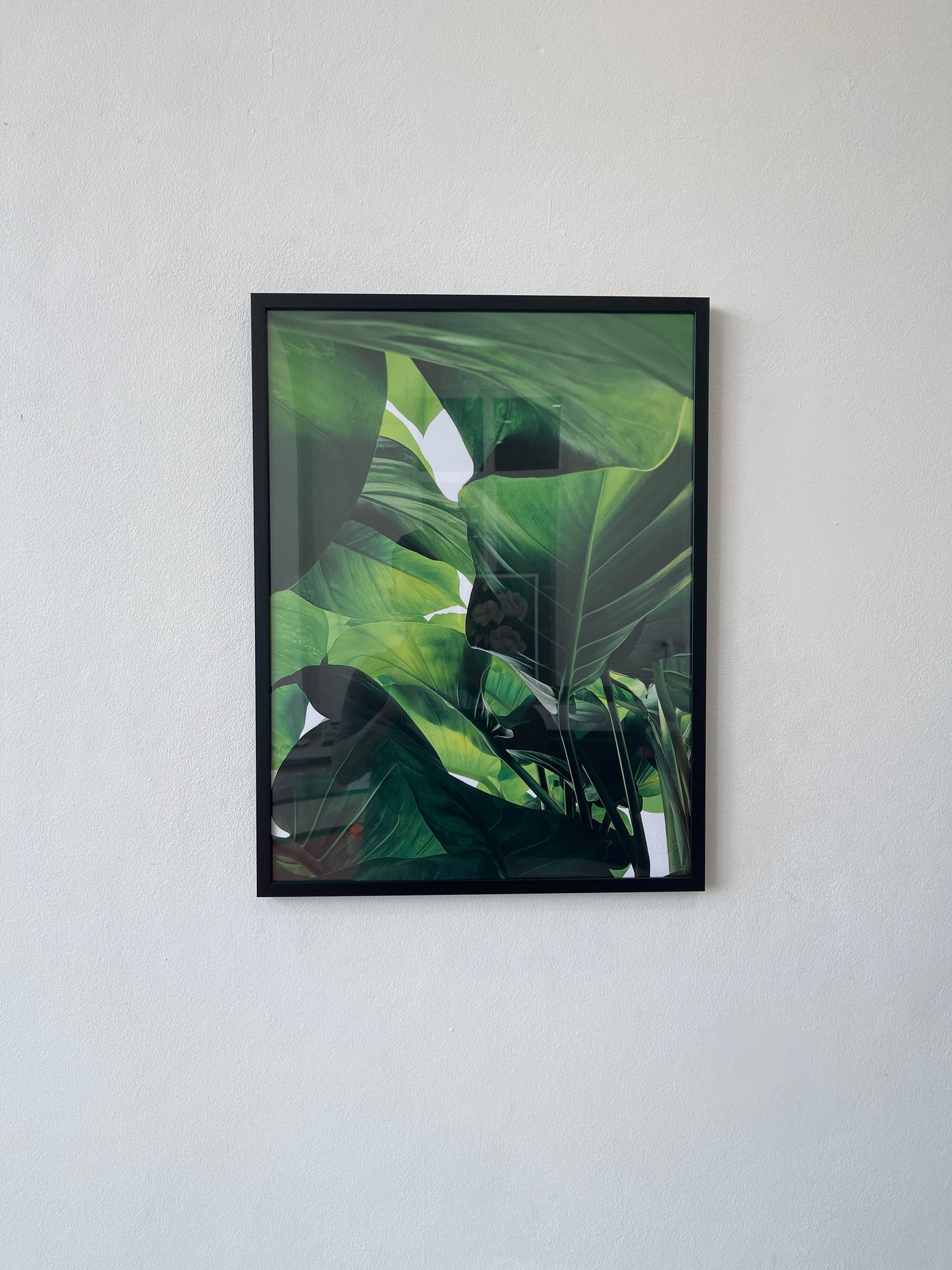 Tropical green leaves Set
