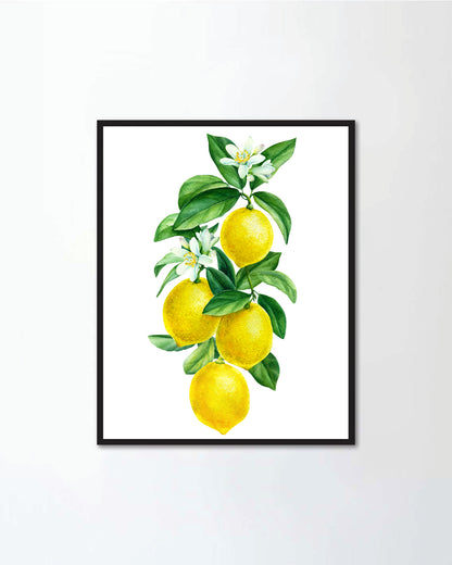 Lemon I