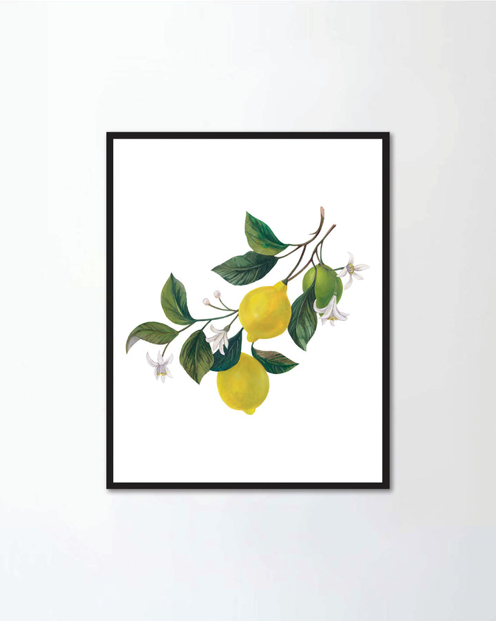 lemons leaves I