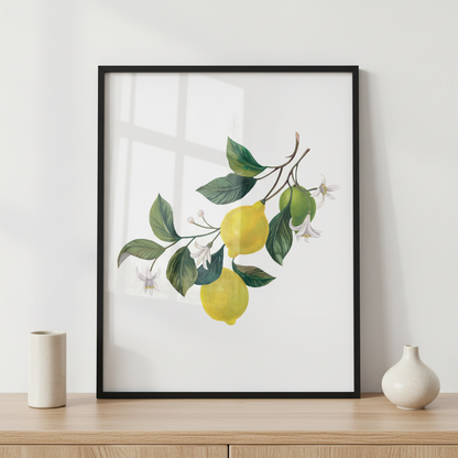 Lemons leaves I ภาพติดผังสไตล์สแกนดิเนเวีย สำหรับตกแต่งบ้านและคอนโด พร้อมกรอบคุณภาพ