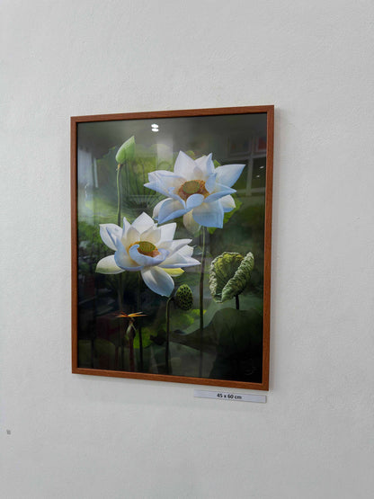 Pure white lotus flower