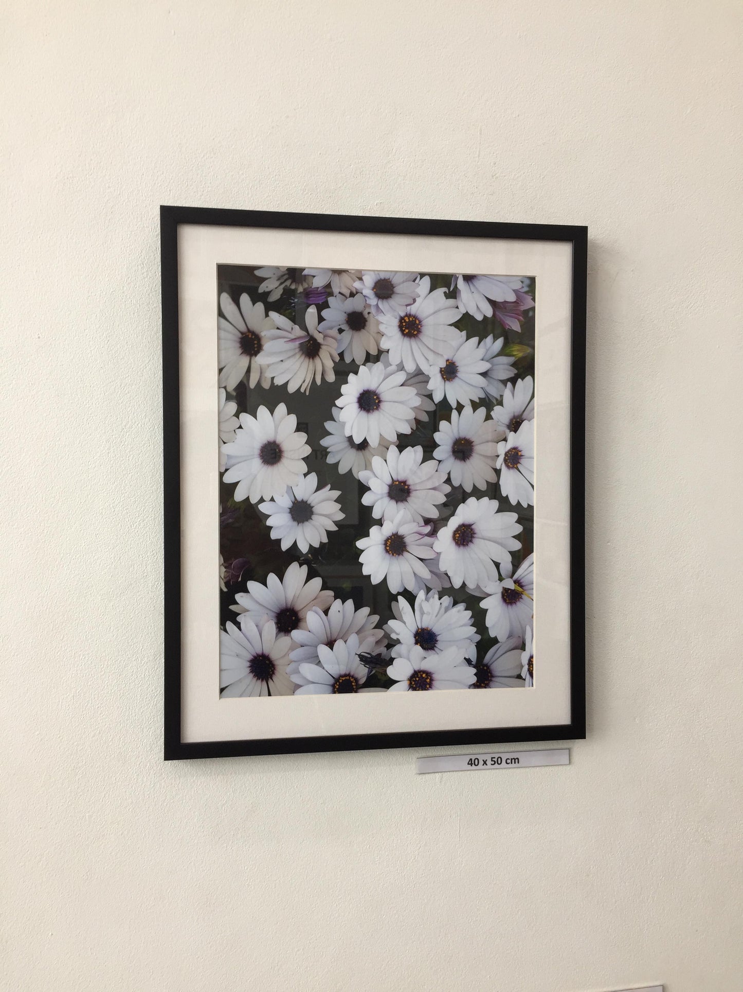 White flower