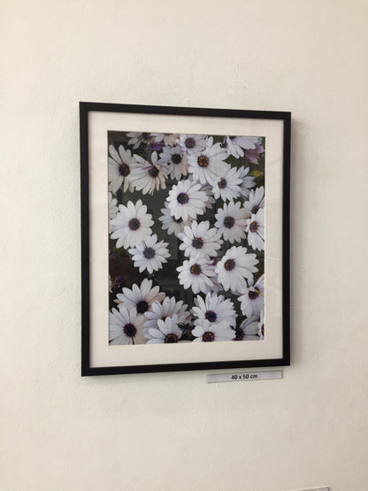 White flower