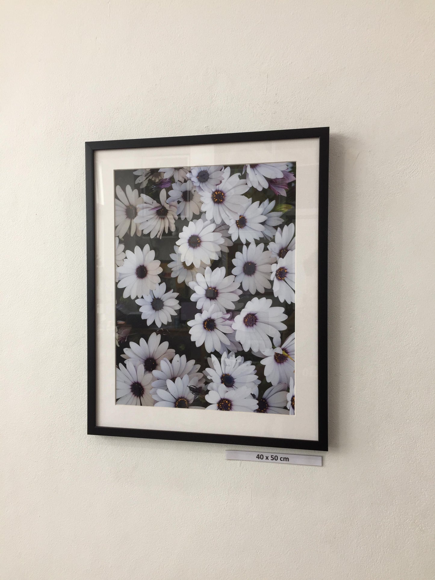 White flower