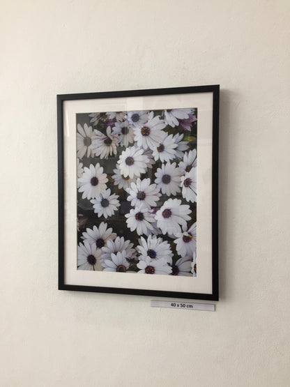 White flower