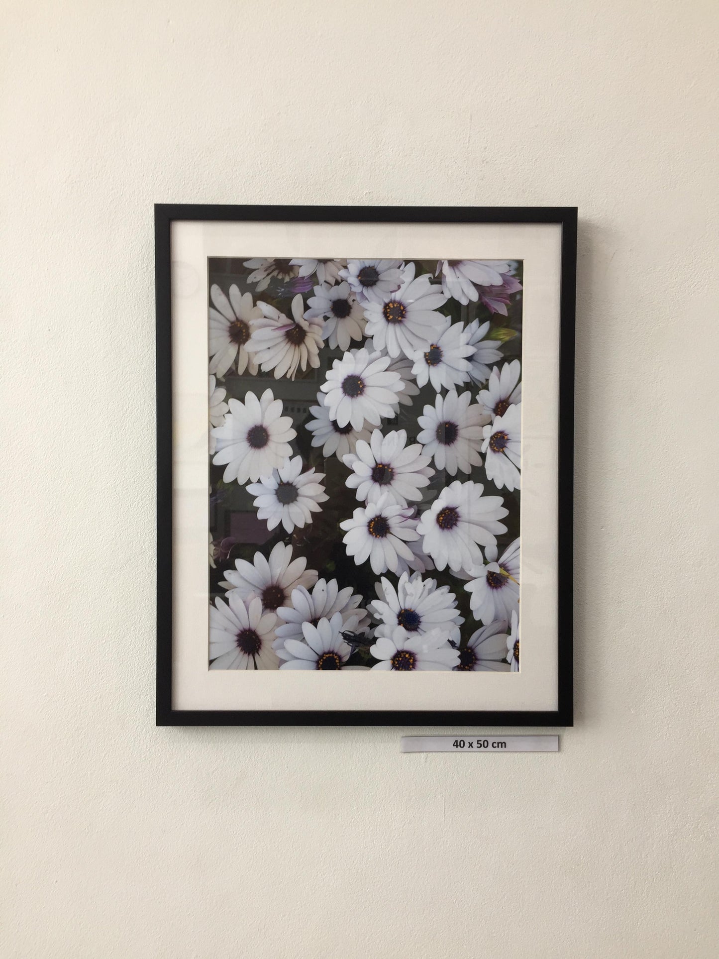 White flower