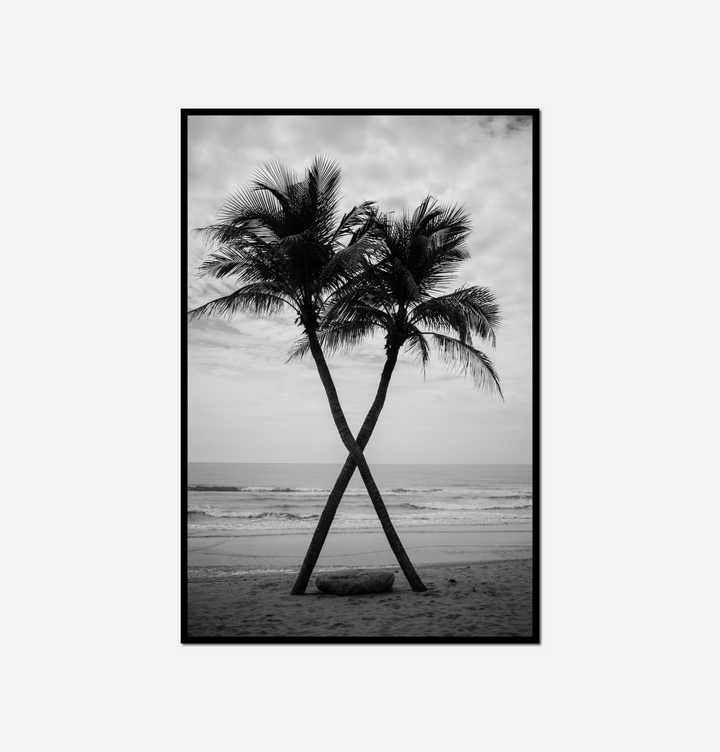 black white two palm trees beach