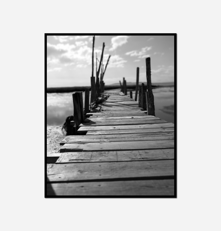 black white pier poles water