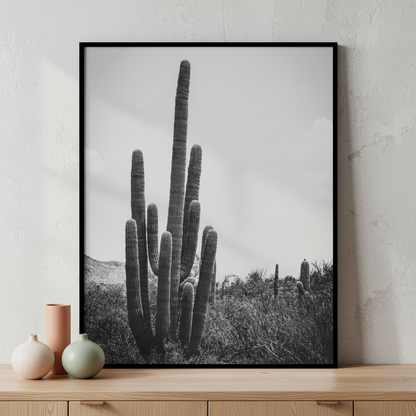 Cactus plant field sky ภาพติดผังสไตล์ธรรมชาติ สำหรับตกแต่งบ้านและคอนโด พร้อมกรอบคุณภาพ