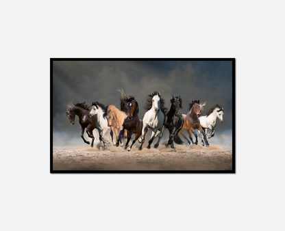 Five horses running together line beach