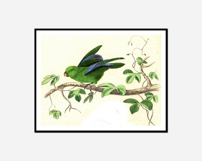 Green bird sitting branch tree