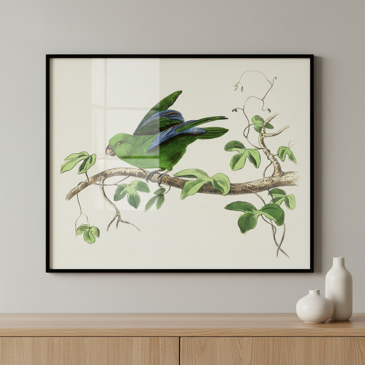 Green bird sitting branch tree ภาพติดผังสไตล์สแกนดิเนเวีย สำหรับตกแต่งบ้านและคอนโด พร้อมกรอบคุณภาพ