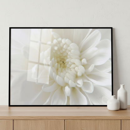 white flower black ภาพติดผังสไตล์สแกนดิเนเวีย สำหรับตกแต่งบ้านและคอนโด พร้อมกรอบคุณภาพ