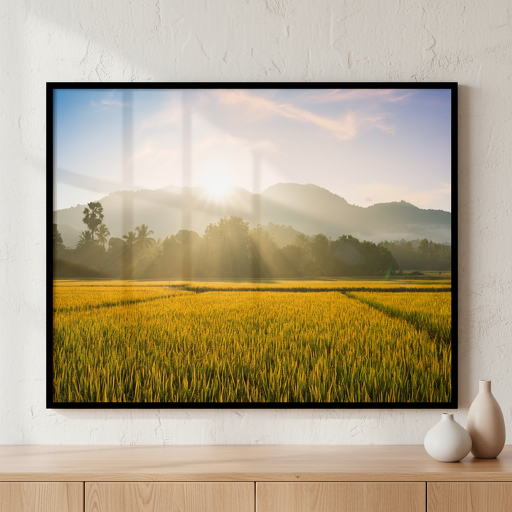 Field grass sun shining clouds ภาพติดผังสไตล์สแกนดิเนเวีย สำหรับตกแต่งบ้านและคอนโด พร้อมกรอบคุณภาพ
