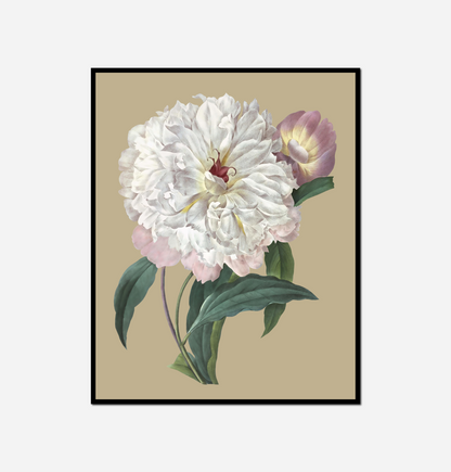 Painting flower