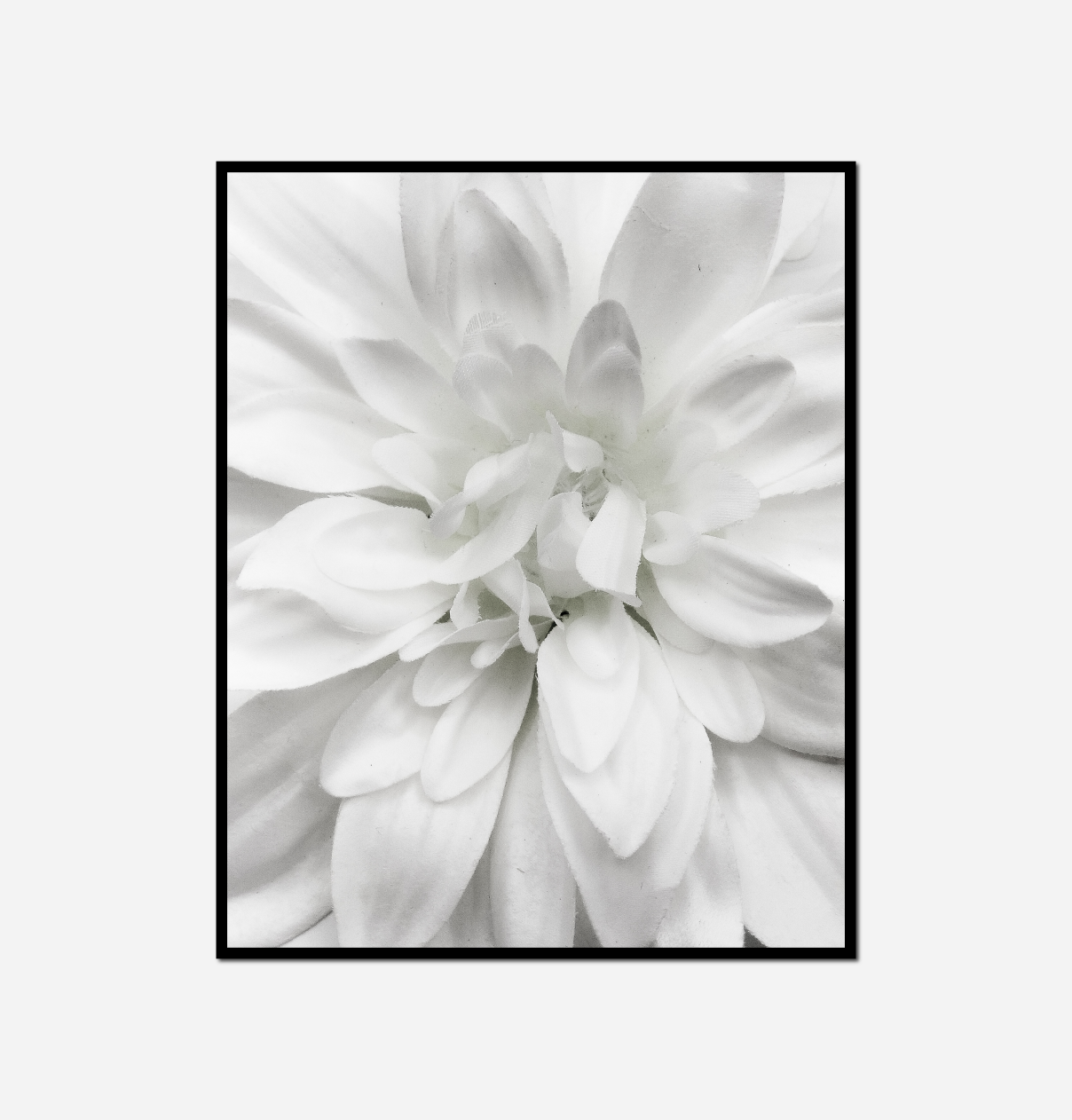 close white flower black