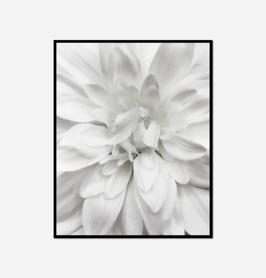 close white flower black