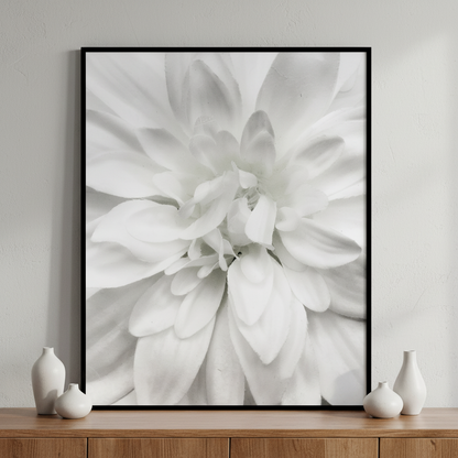 Close white flower black ภาพติดผังสไตล์สแกนดิเนเวีย สำหรับตกแต่งบ้านและคอนโด พร้อมกรอบคุณภาพ