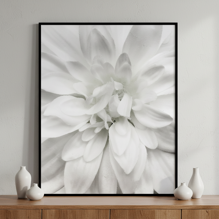 Close white flower black ภาพติดผังสไตล์สแกนดิเนเวีย สำหรับตกแต่งบ้านและคอนโด พร้อมกรอบคุณภาพ