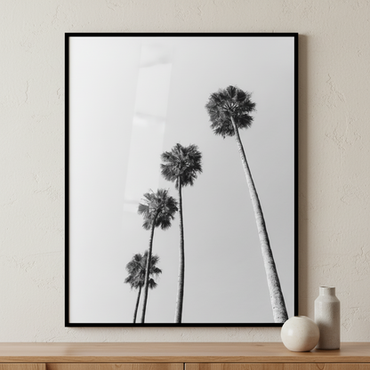 Black white three palm trees against gray sky ภาพติดผังสไตล์นามธรรม สำหรับตกแต่งบ้านและคอนโด พร้อมกรอบคุณภาพ