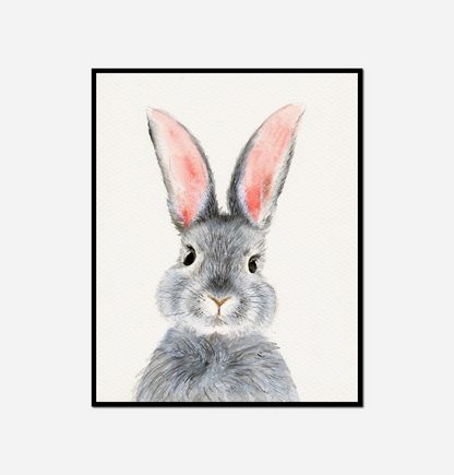 Close rabbit white