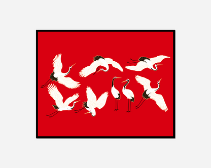 Many birds flying air together red