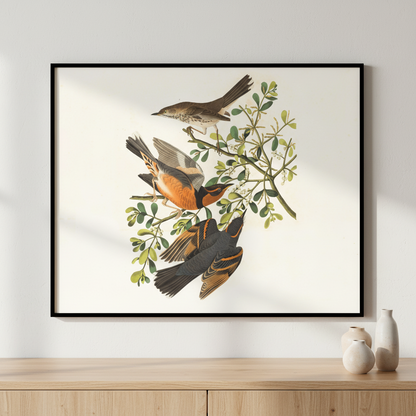 Two birds sitting branch tree ภาพติดผังสไตล์สแกนดิเนเวีย สำหรับตกแต่งบ้านและคอนโด พร้อมกรอบคุณภาพ