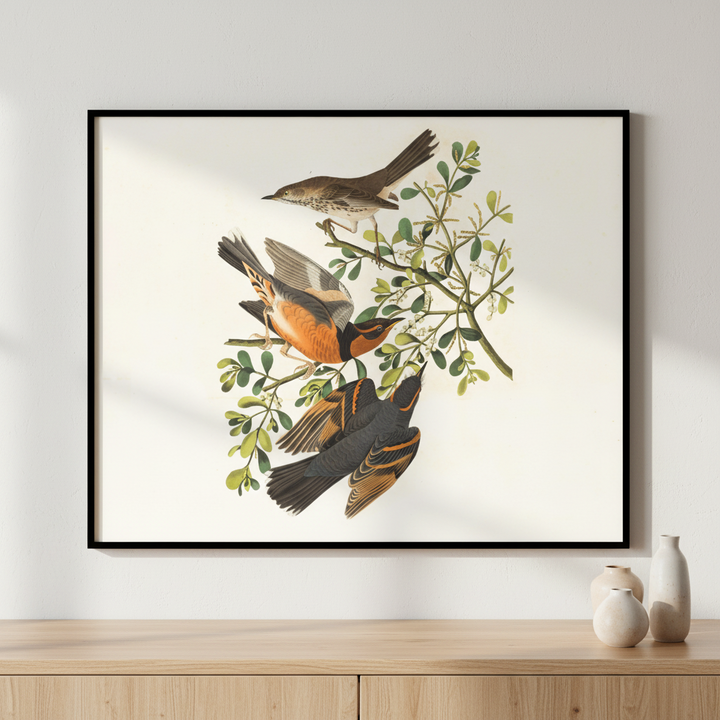 Two birds sitting branch tree ภาพติดผังสไตล์สแกนดิเนเวีย สำหรับตกแต่งบ้านและคอนโด พร้อมกรอบคุณภาพ