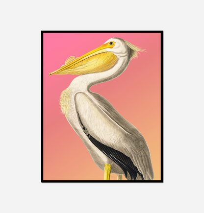 Bird long beak standing pink