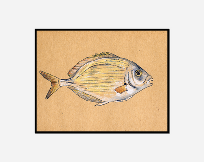 Fish piece paper