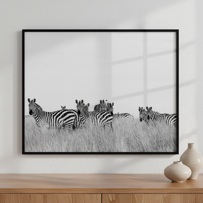 Zebras standing field tall grass sky ภาพติดผังสไตล์สแกนดิเนเวีย สำหรับตกแต่งบ้านและคอนโด พร้อมกรอบคุณภาพ