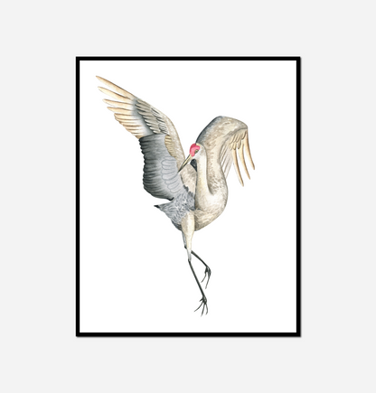 Bird its wings spread out its wings spread