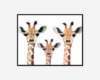 Three giraffes standing together