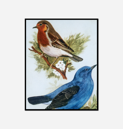 Two birds sitting branch tree