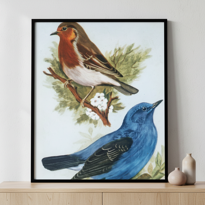 Two birds sitting branch tree