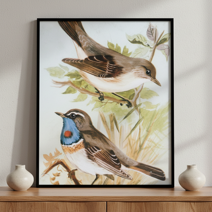 Two birds sitting branch tree ภาพติดผังสไตล์สแกนดิเนเวีย สำหรับตกแต่งบ้านและคอนโด พร้อมกรอบคุณภาพ