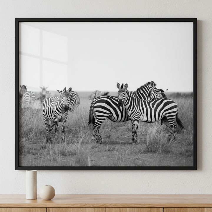 Zebras standing field tall grass sky ภาพติดผังสไตล์สแกนดิเนเวีย สำหรับตกแต่งบ้านและคอนโด พร้อมกรอบคุณภาพ