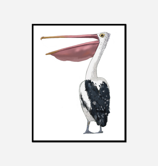 close bird long beak white