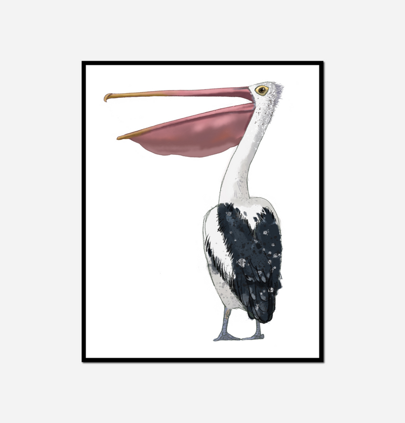 Close bird long beak white