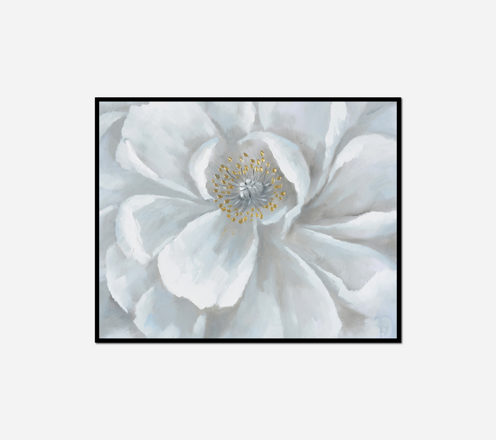 white flower yellow center black