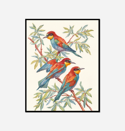 Three birds sitting branch tree