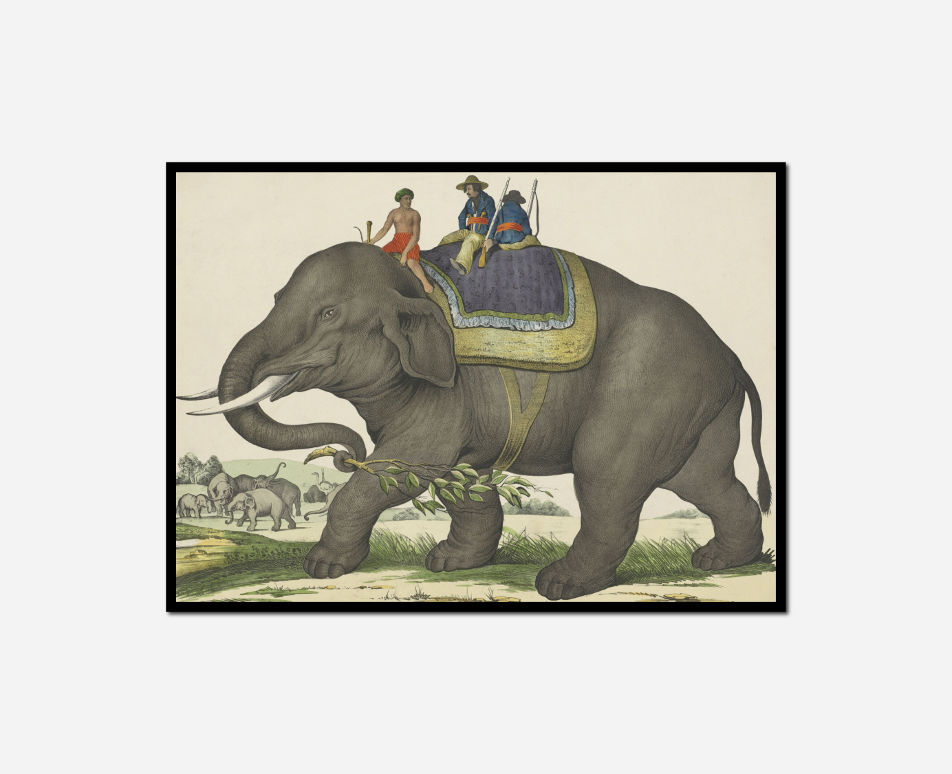 man riding elephant group people