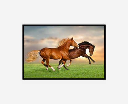 Two horses running grass together